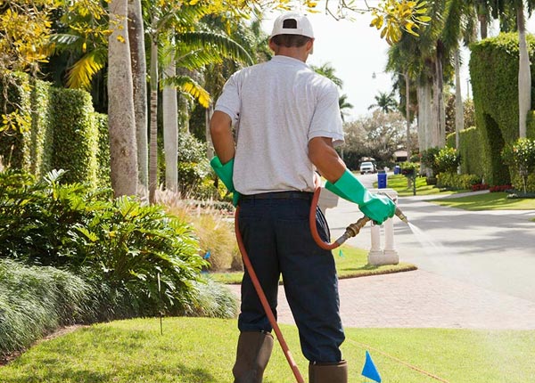 About Beloit WI Pest Control